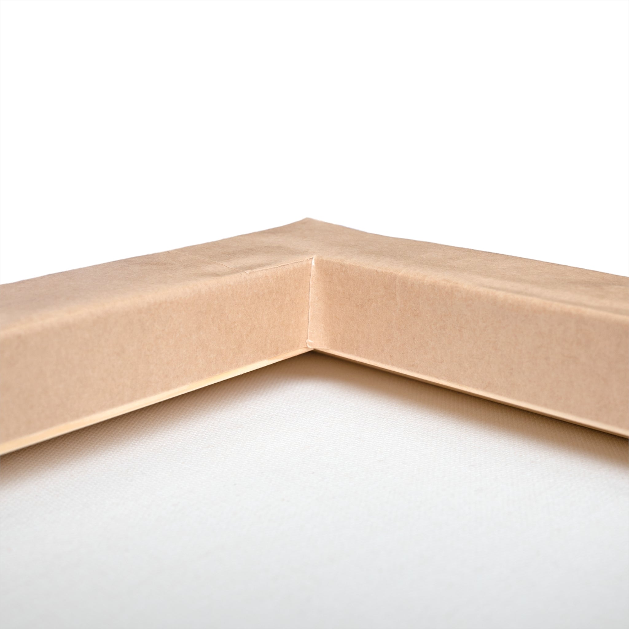 Minimalist Flower Canvas Art