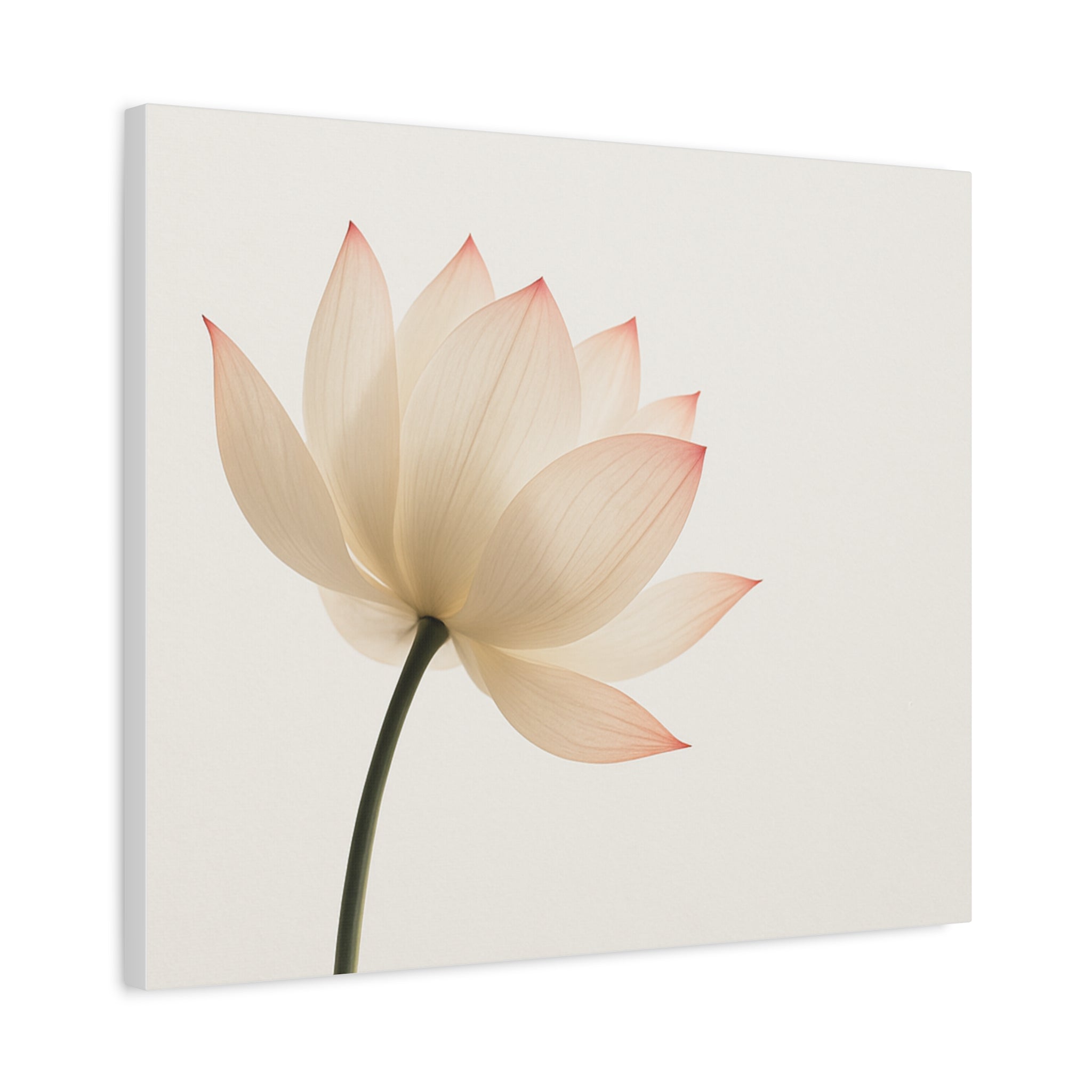 Lotus Flower Canvas Wall Art